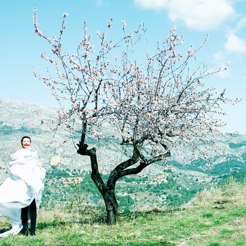 color and contrasted photography from extraterrestrial on earth by inge van heerde