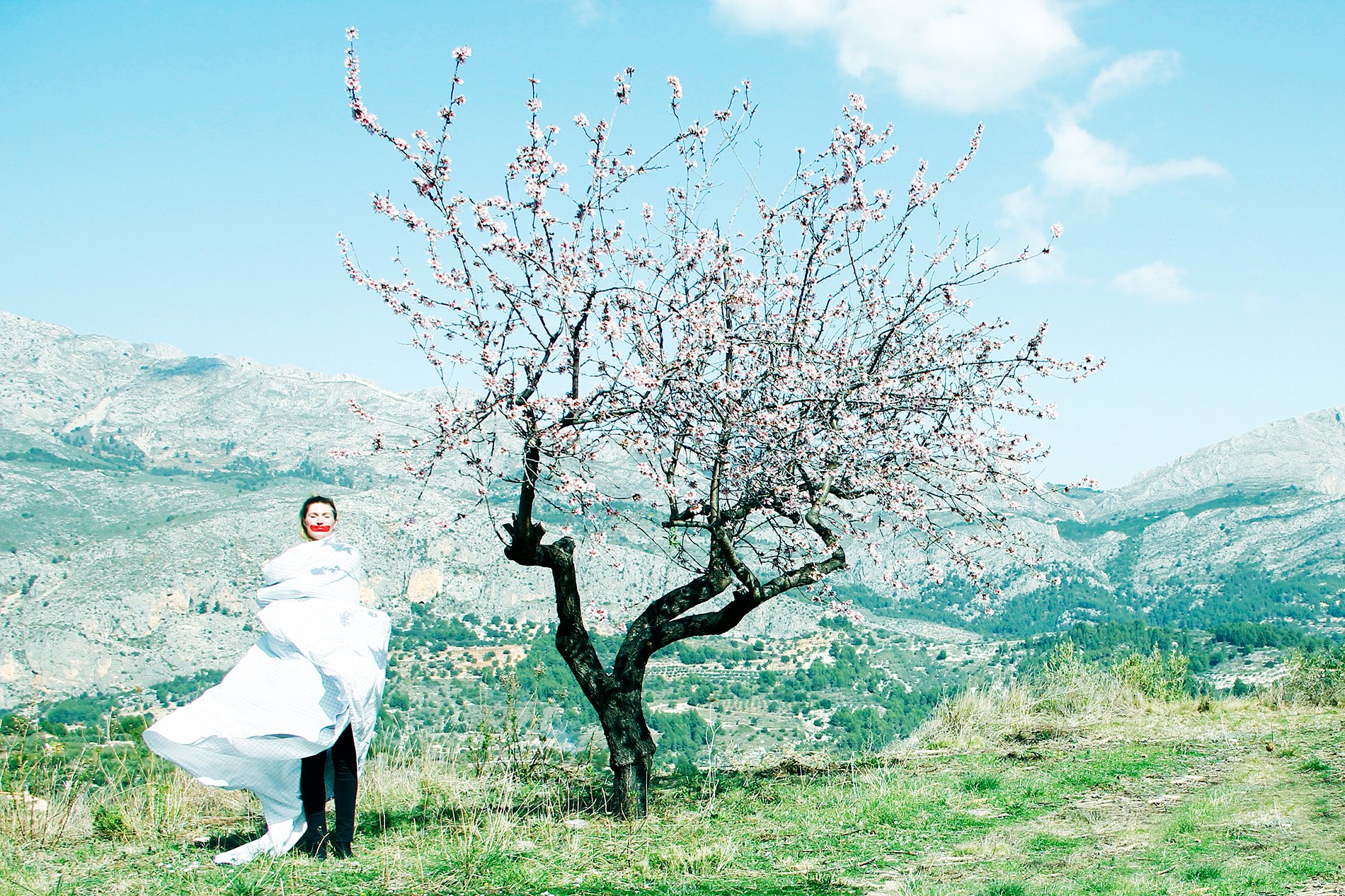 color and contrasted photography from extraterrestrial on earth by inge van heerde