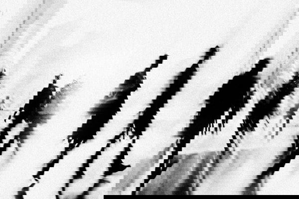 Michele Rieri – Site web