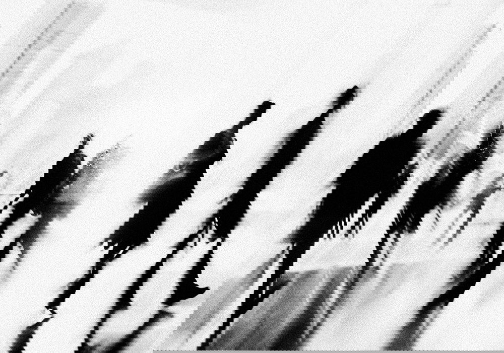 Michele Rieri – Site web