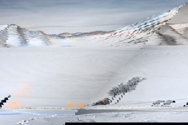 Nadir Bucan – Webseite