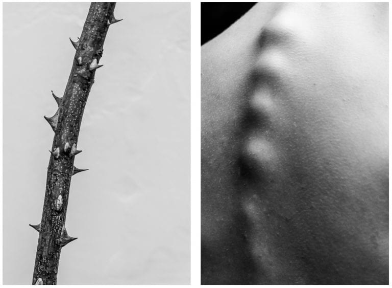 Visual Exercises: A Series of Diptychs by Alicja Brodowicz