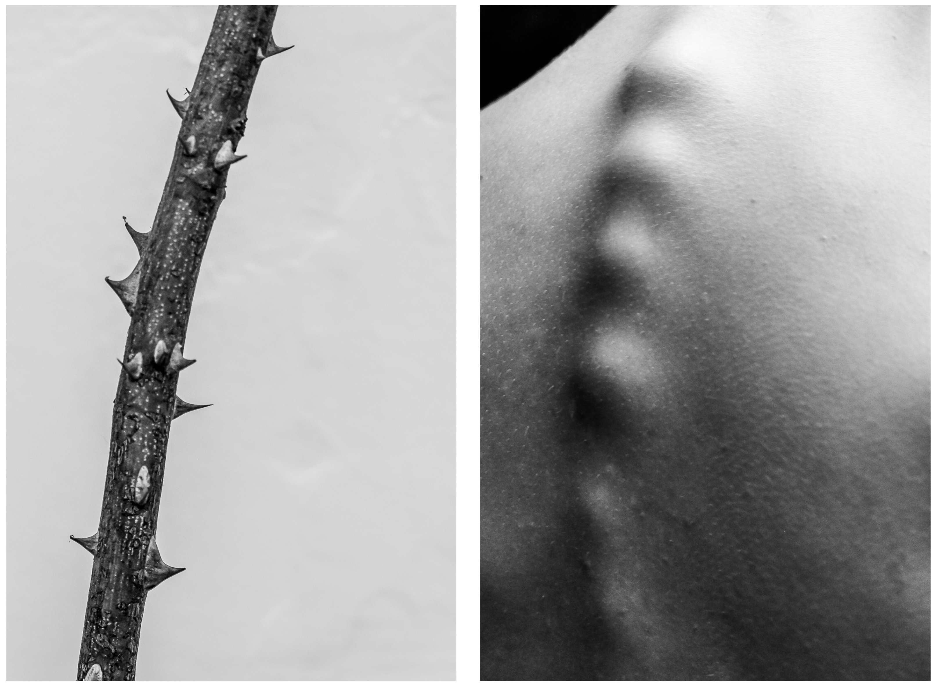 Black and white photograph of the human body and nature by Alicja Brodowicz. Visual Exercises: A Series of Diptychs