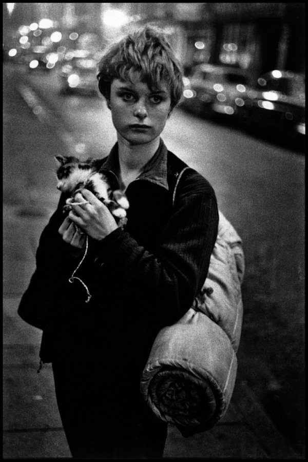 Girl Holding a Kitten, 1960 by Bruce Davidson in England