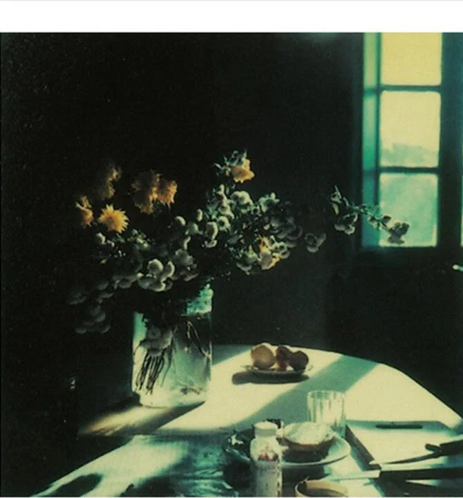 color still photo of flowers on table by Andrei Tarkovsky