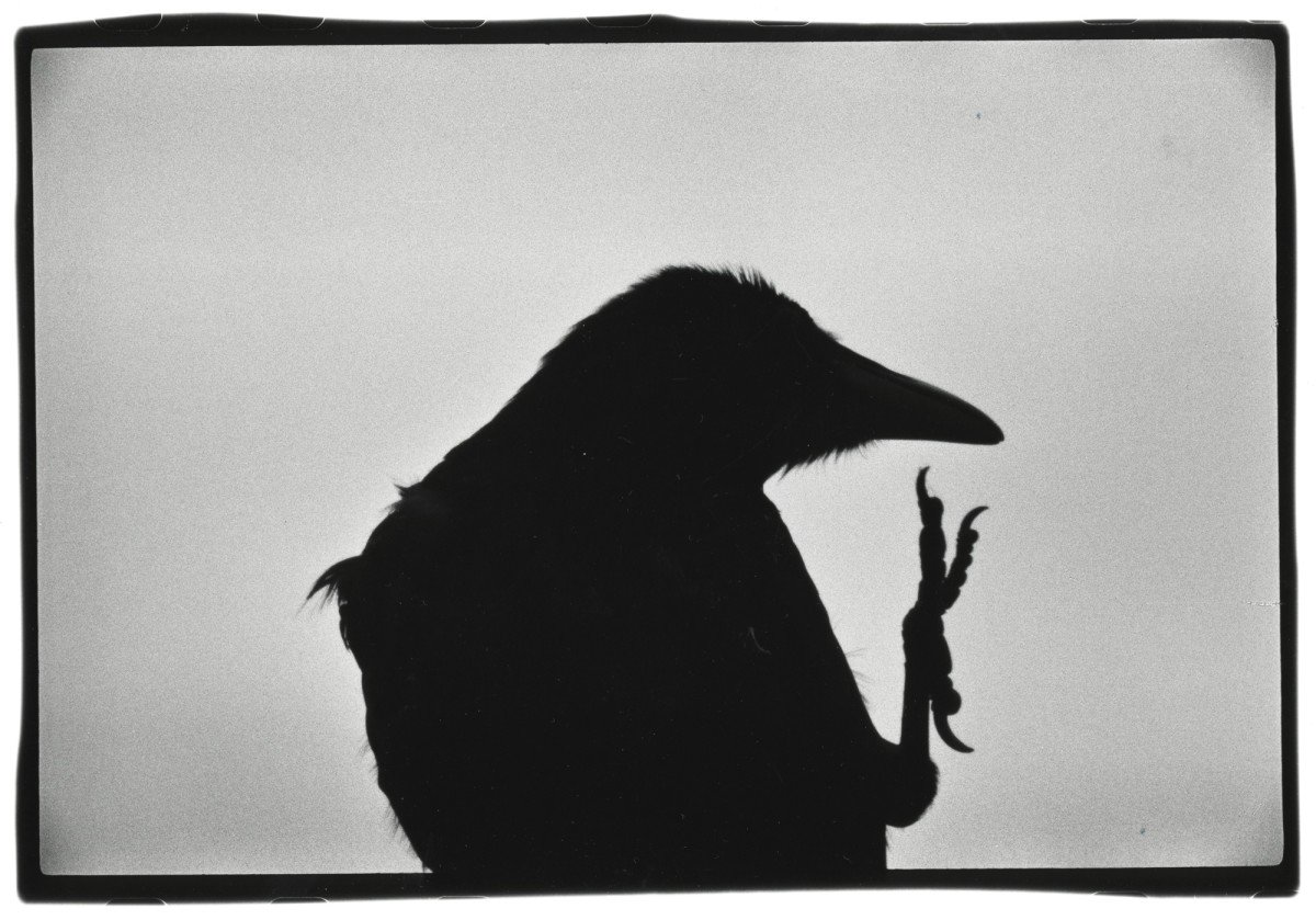 Erimo Cape, 1976. From Solitude of Ravens © Masahisa Fukase Archive