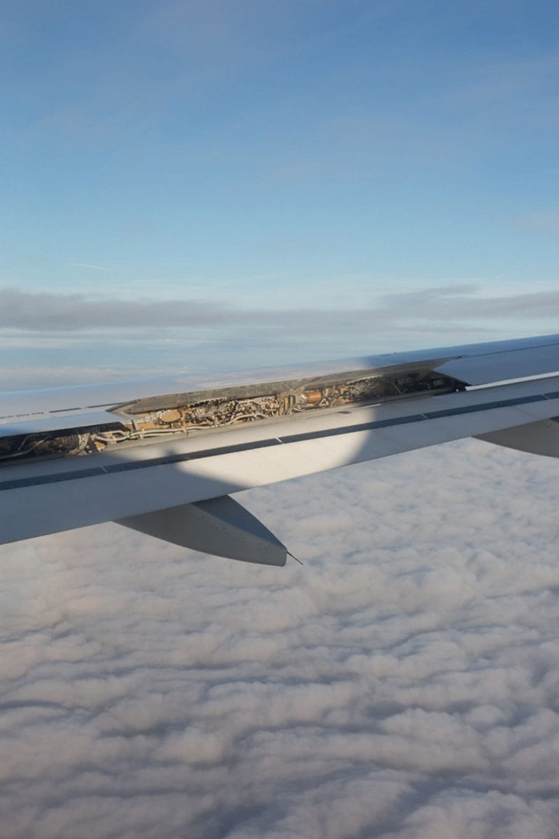 mid-air flap movement, 2013 Wolfgang Tillmans