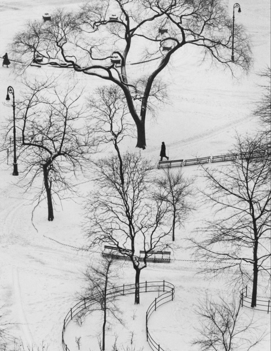 Washington Square, New York, 1954 © Andre Kertesz