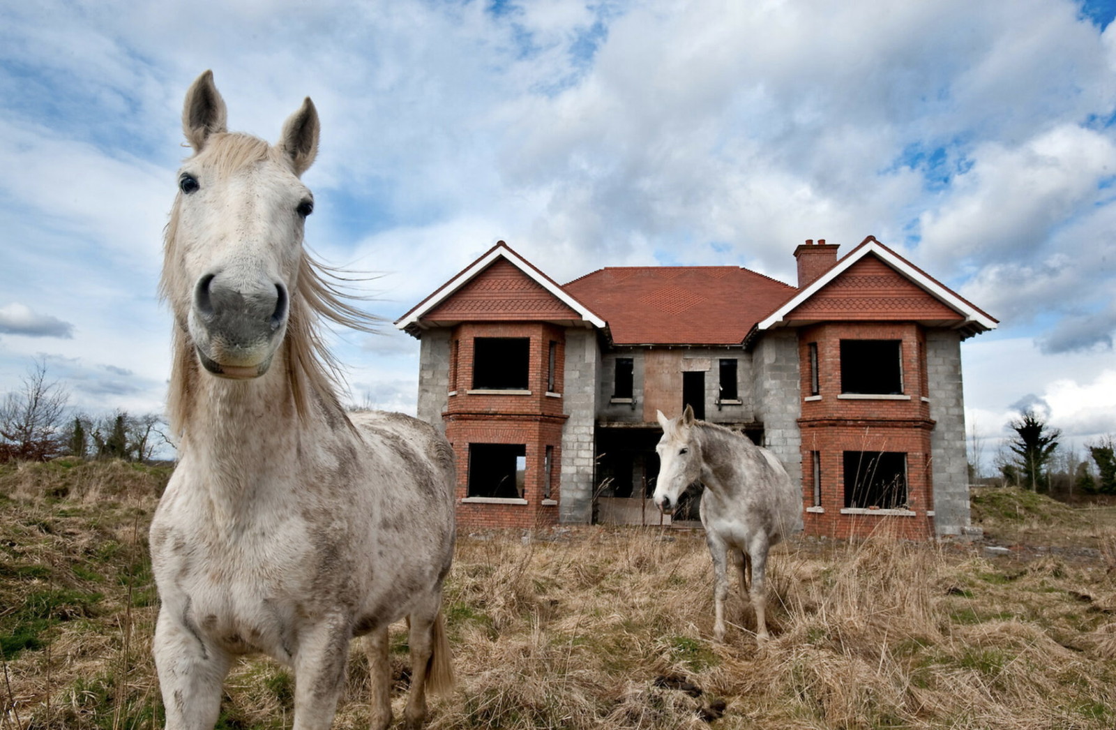 Ireland - Kim Haughton - White Horses, 2011