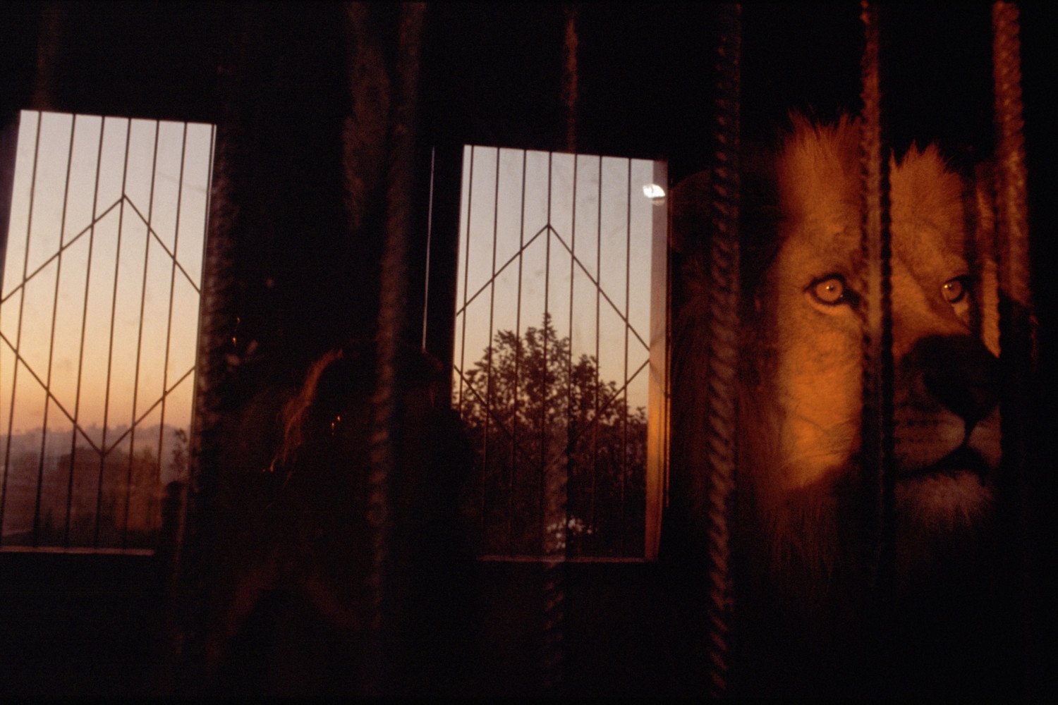 Istanbul, Turchia 2003 © Rebecca Norris Webb