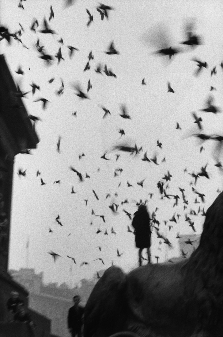 Sergio Larrain: Trafalgar Square, 1958-1959