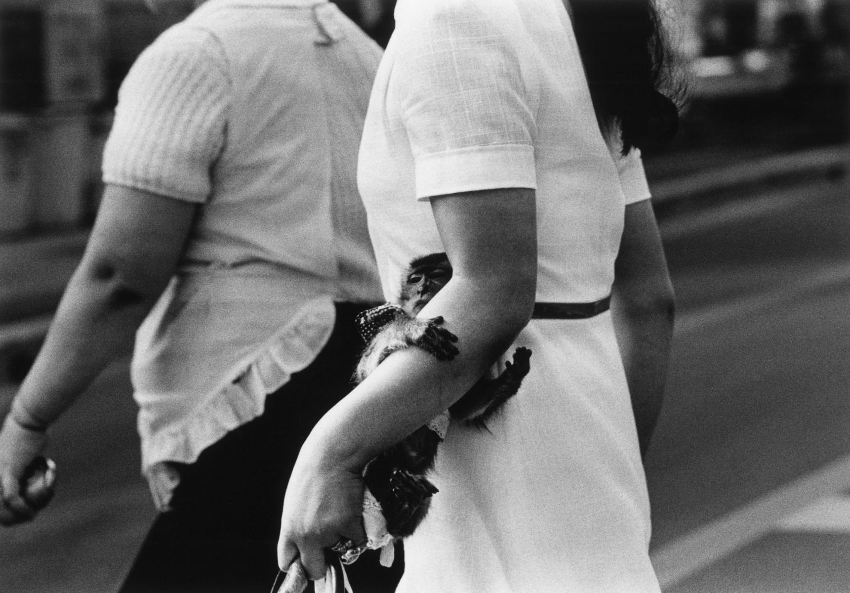 zwei Frauen, die mit einem Affen durch die Straßen Japans gehen. Foto von Issei Suda