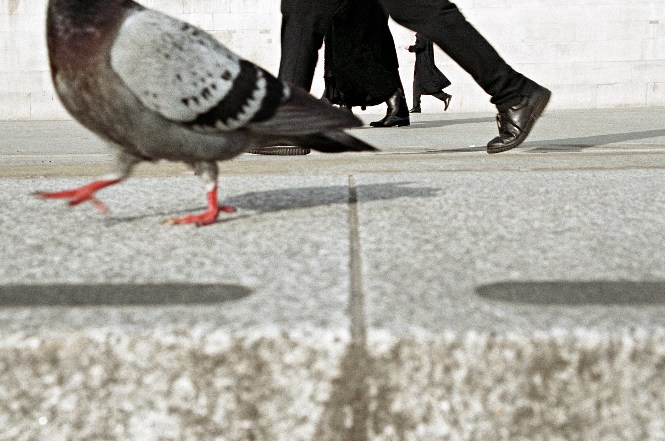Fotografía de la calle en color de palomas y pies de hombres en la calle en Londres por Matt Stuart