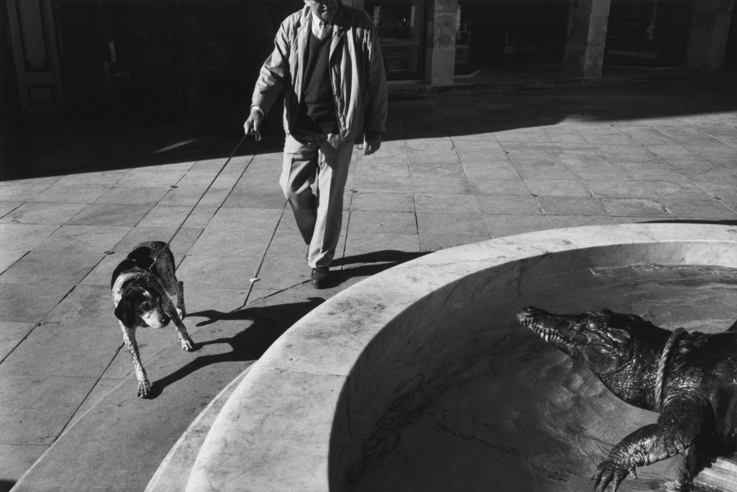 Black and white street photography by Richard Kalver a man walking his dog encounter a crocodile in a fountain in Nîmes, South of France.