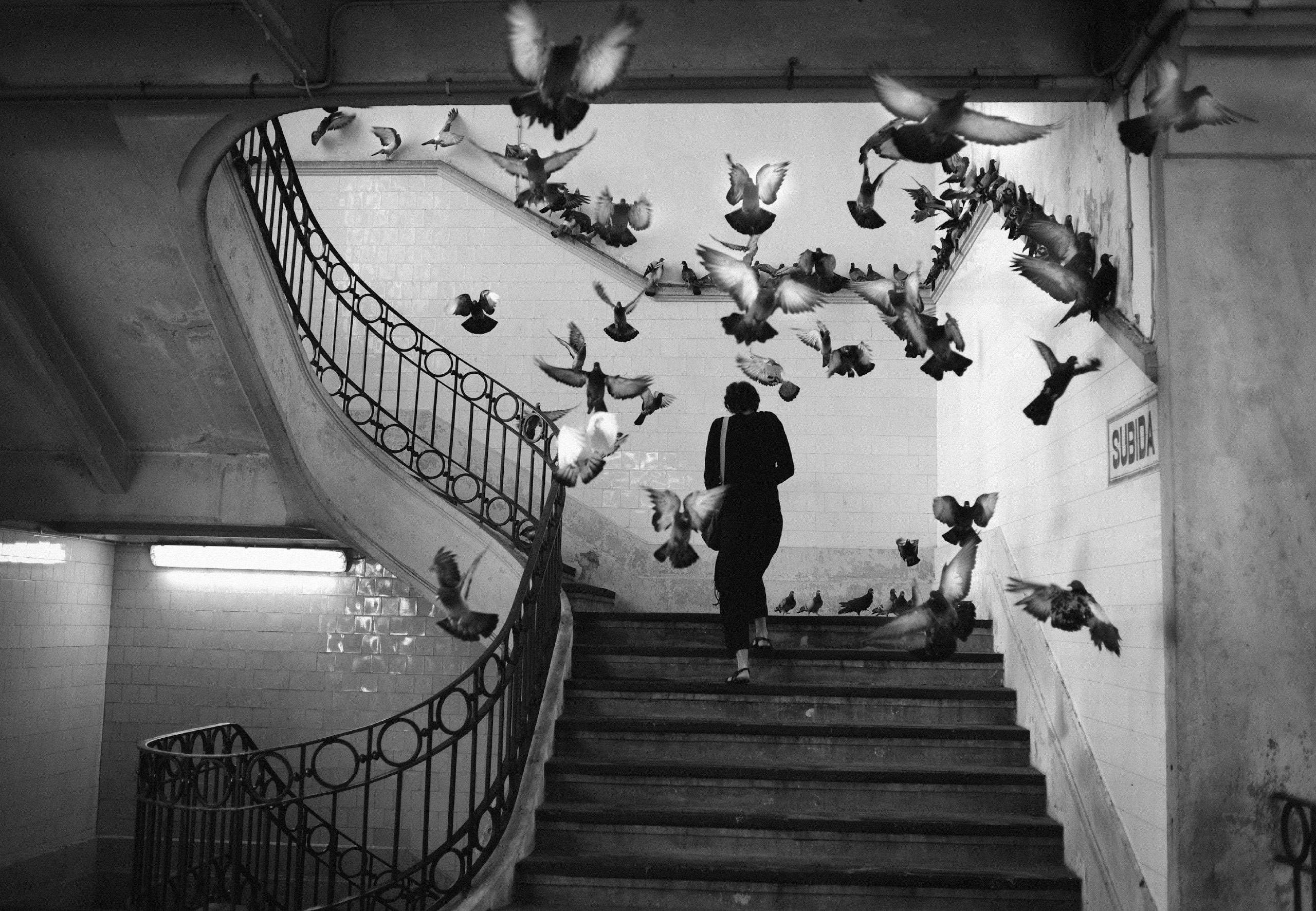 Fotografía callejera en blanco y negro de una mujer y palomas por Rui Palha