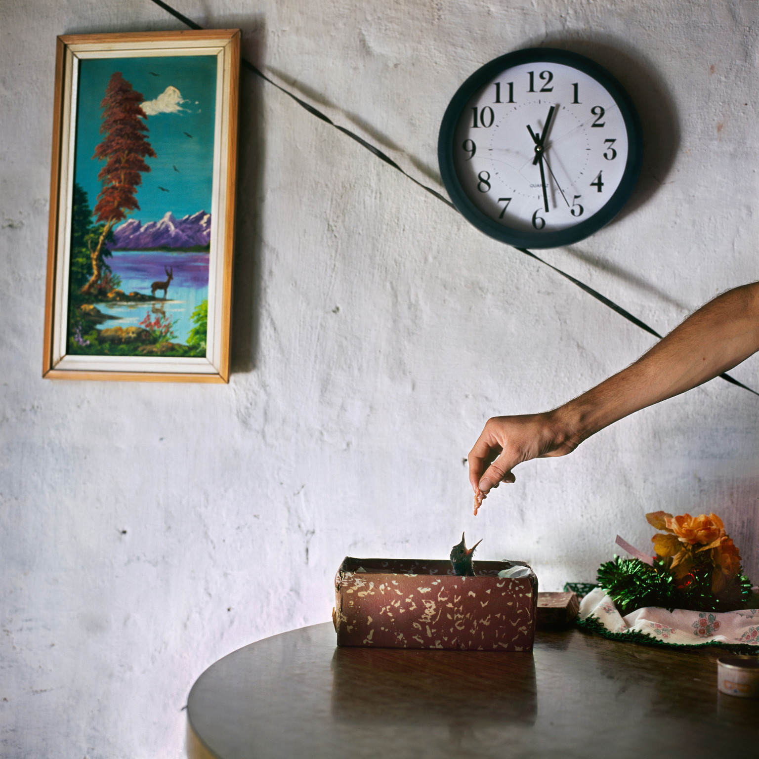 La fotografa a colori Alessandra Sanguinetti