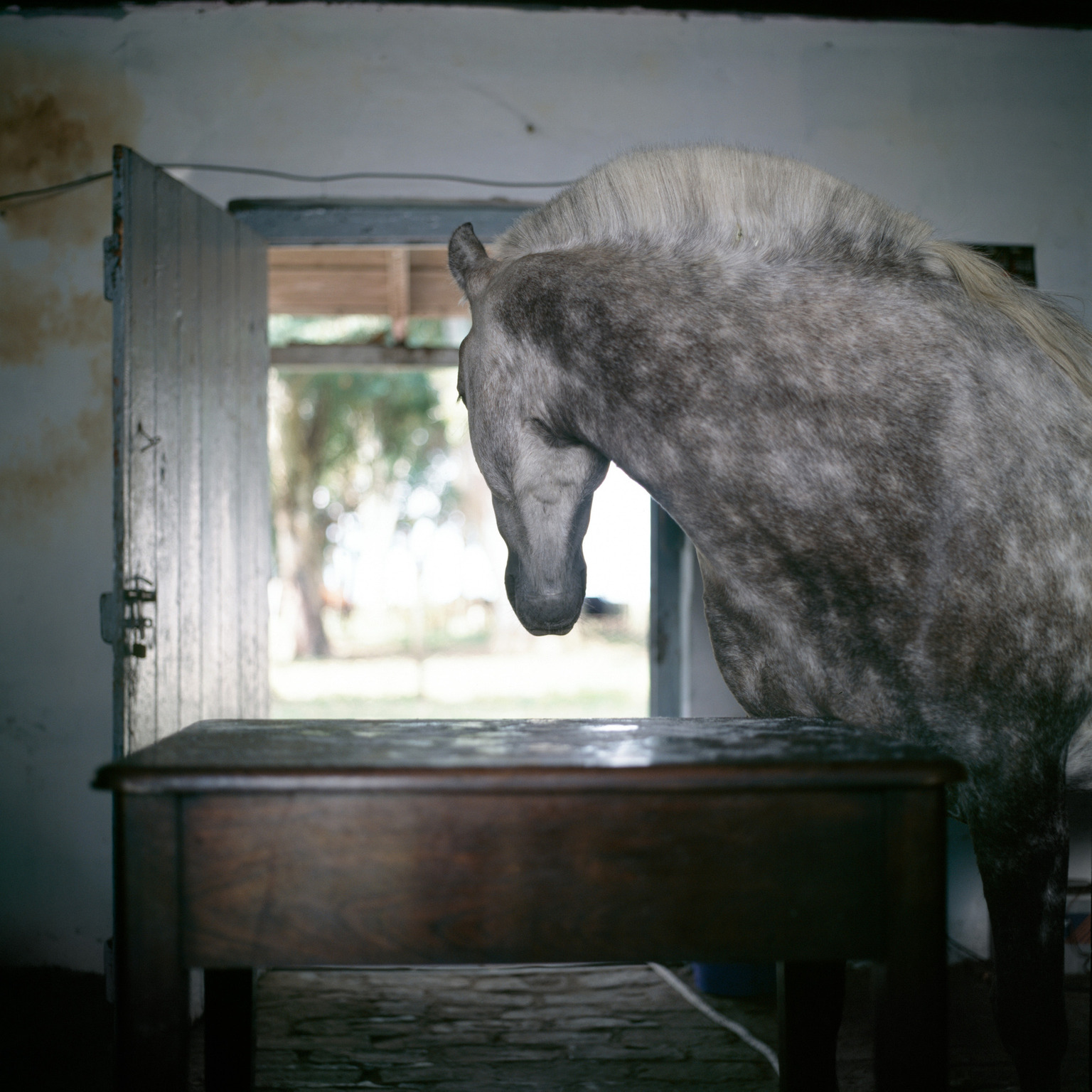 La fotografa a colori Alessandra Sanguinetti