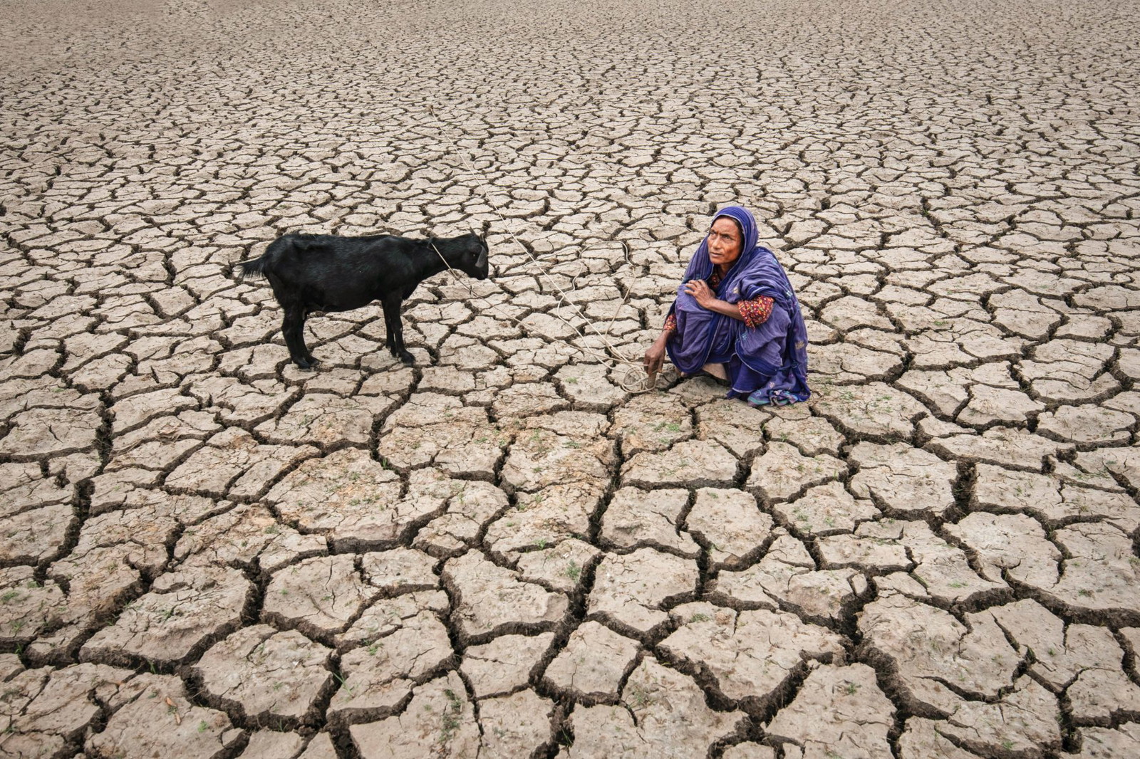 Color photograph of a woman on eroded land in Bangladesh- Visual Storytelling Award