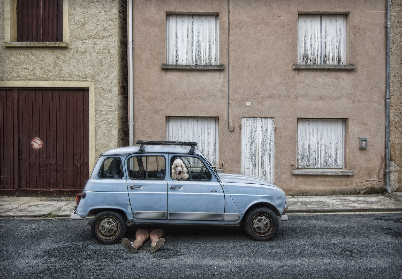 fotografia di strada a colori di un'auto e un cane uccisi in Dordogna, Francia da Marcel van Balken