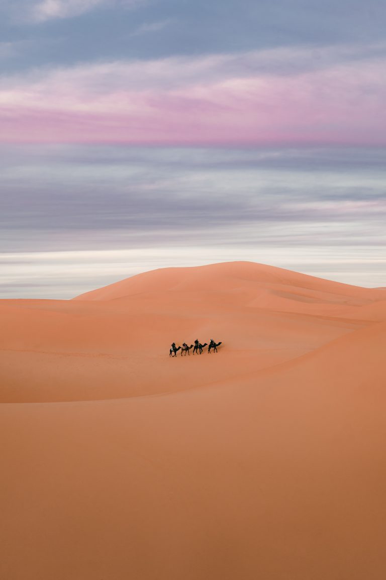 color landscape photograph of a desert and camel ride in Morocco