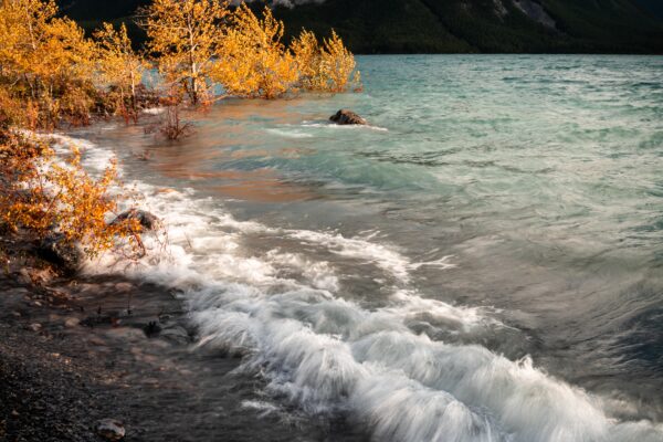 color landscape photograph of waves lap against the shore of Abraham Lake, Alberta Canada in autumn,