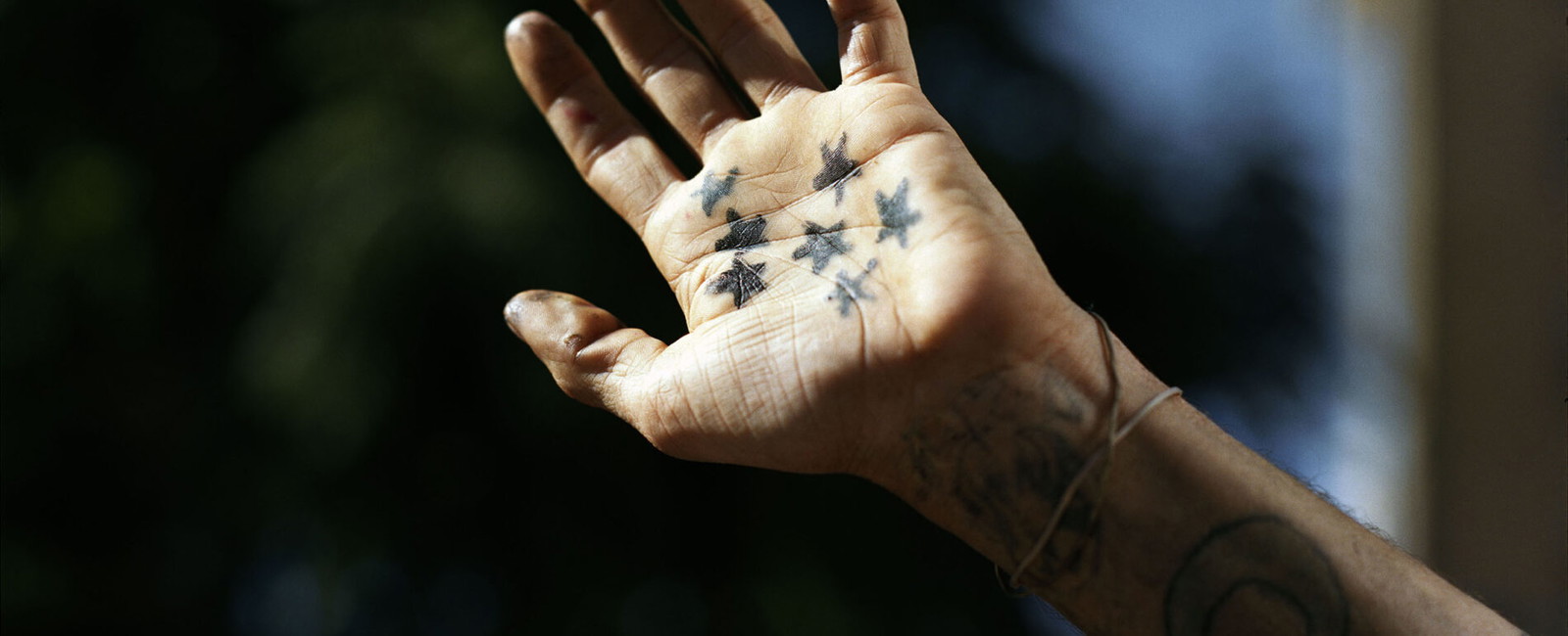 Gregory Halpern - ZZYZX | The Independent Photographer