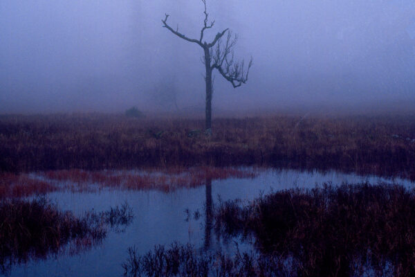 color landscape photograph by Jacob Black