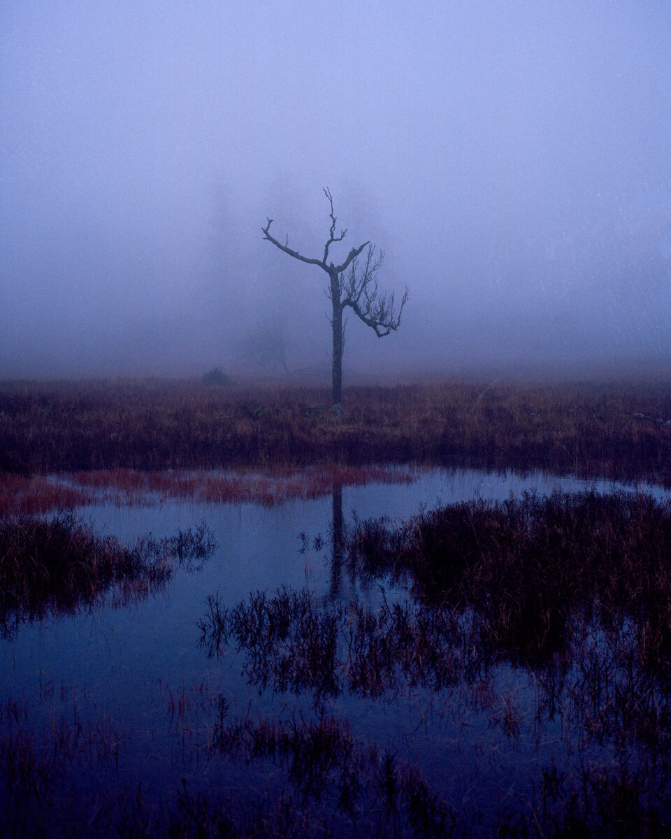 color landscape photograph by Jacob Black