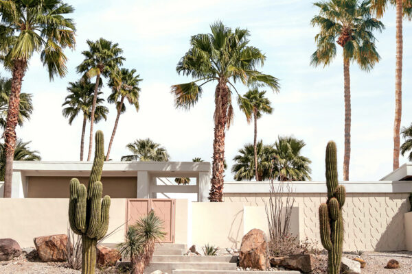 color photo of pink cadillac and palm trees in Palm Springs by Paul Fuentes