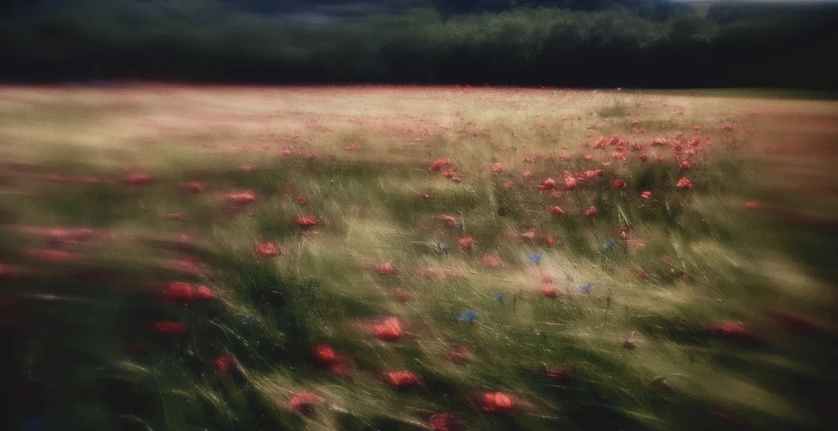 Thaddäus Biberauer