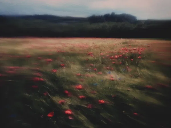 Thaddäus Biberauer​​