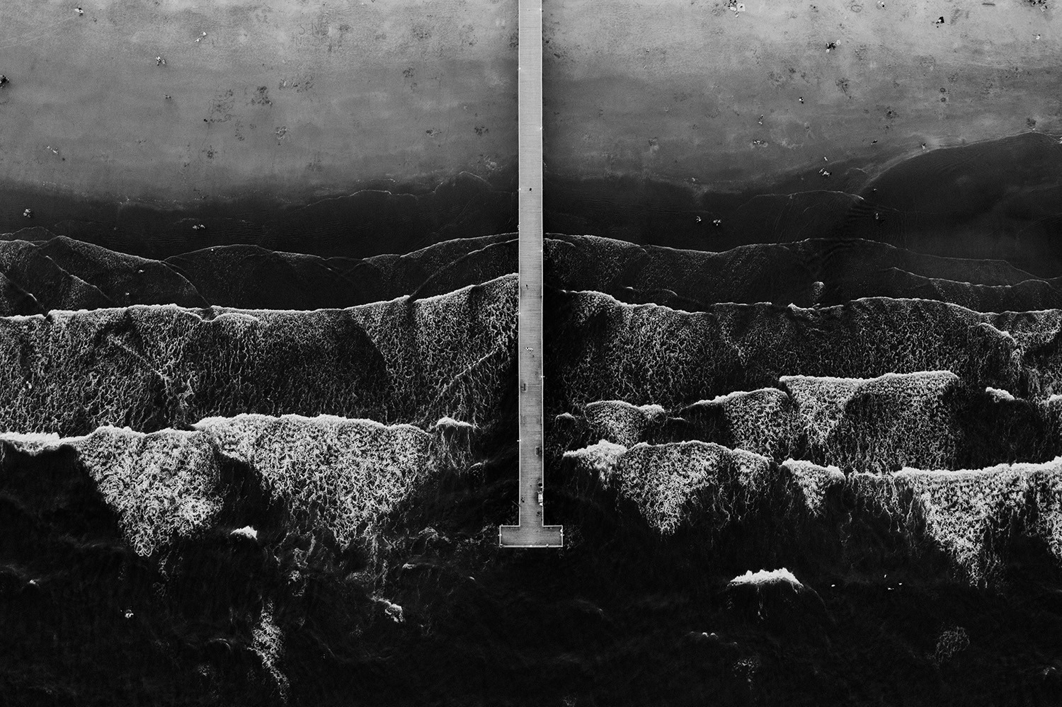 black and white landscape photo of Sullivan’s Island USA by David Goncharuk