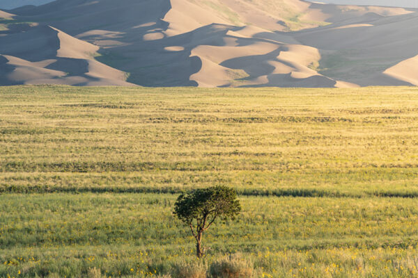 color landscape photo of the Great Sand Dunes National Park, Colorado, USA by Kyle Barden