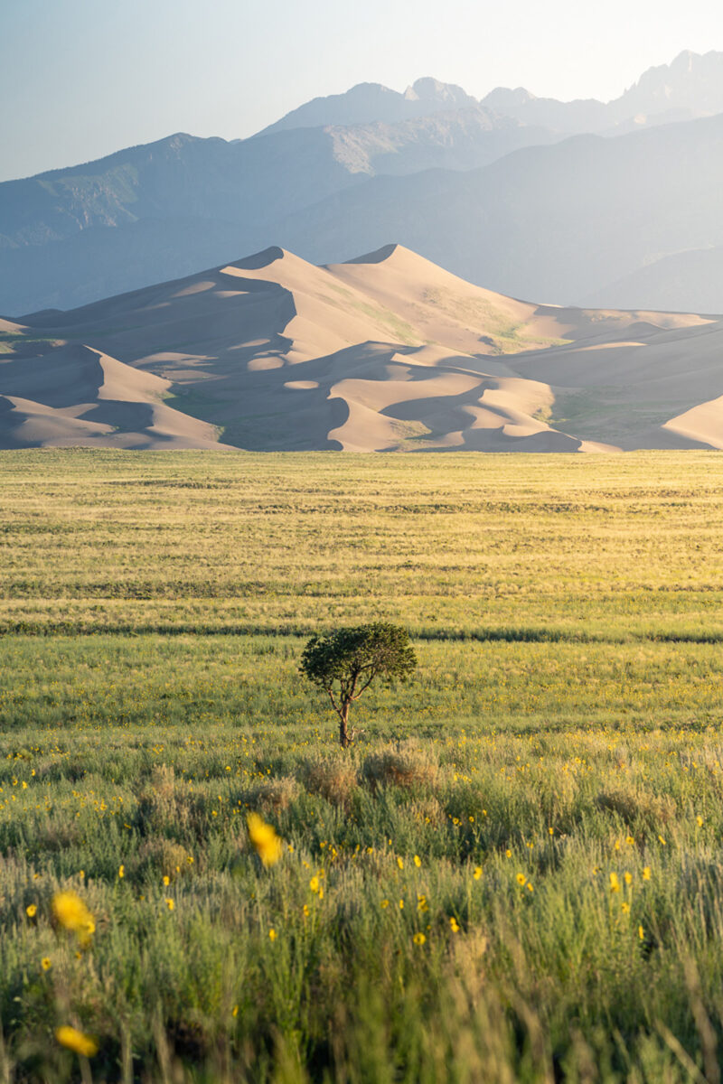 color landscape photo of the Great Sand Dunes National Park, Colorado, USA by Kyle Barden