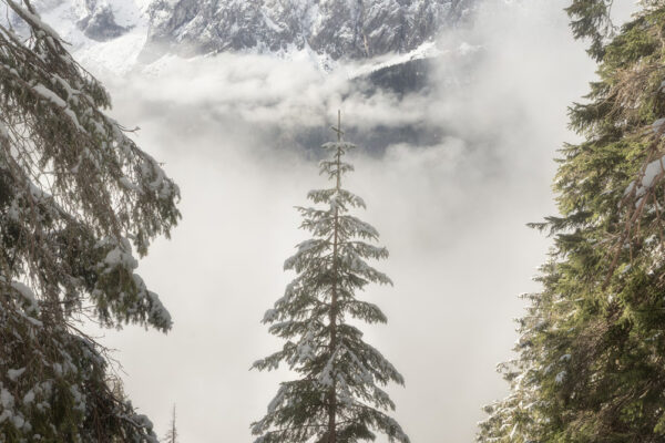 color landscape photo of the Dolomites, Italy by Luca Rigato