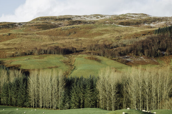 color landscape photo of green hills in Scotland by Samuel Comber