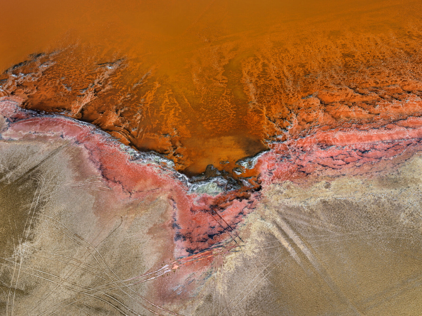 爱德华·伯汀斯基