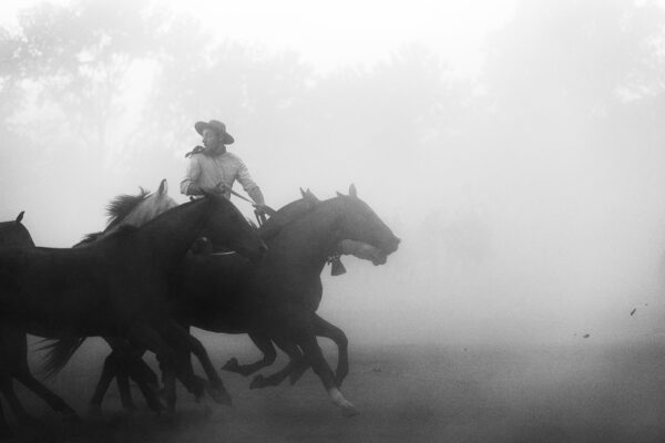 Black and White portrait of gaucho cowboy and horse by Nick Price