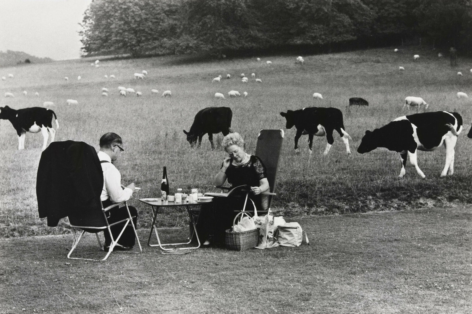 Black & white photography by Tony Ray-Jones. Elderly couple having a picnic in a field with cows in the background.