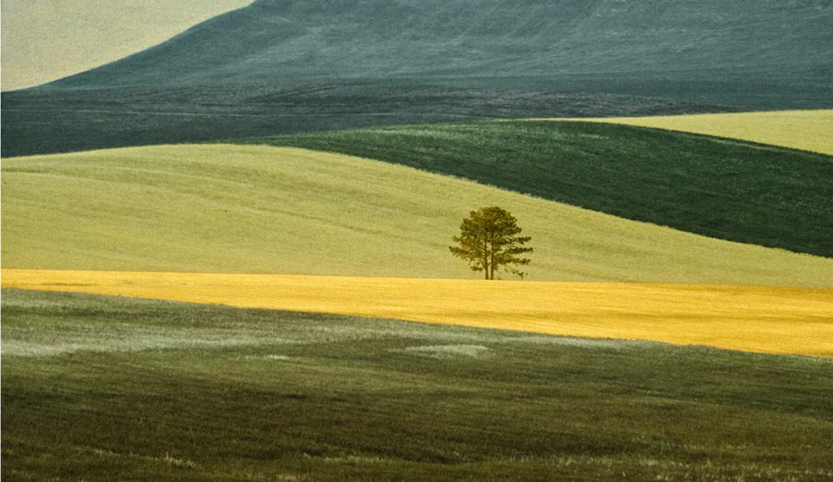 佛朗哥·丰塔纳（Franco Fontana）