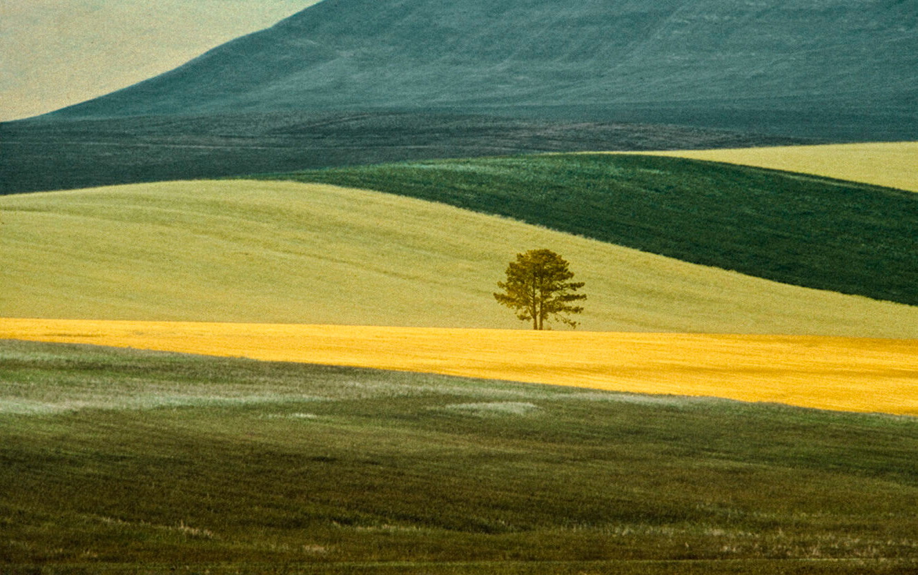 Franco Fontana | The Independent Photographer