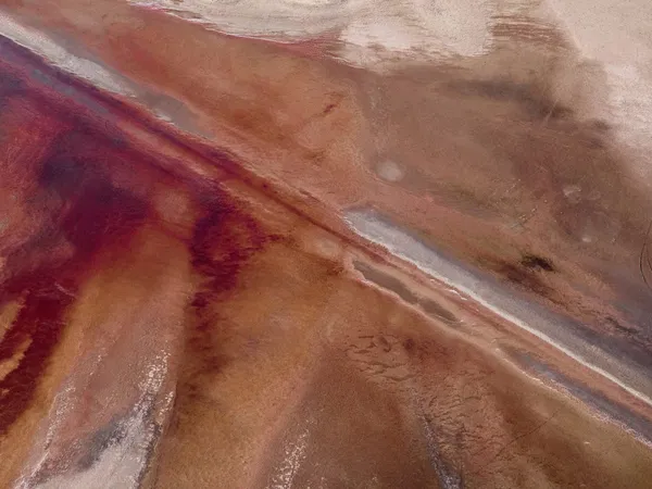 ignant-photography-landscape-brookholm-ephemera-ii-min-1440×1080