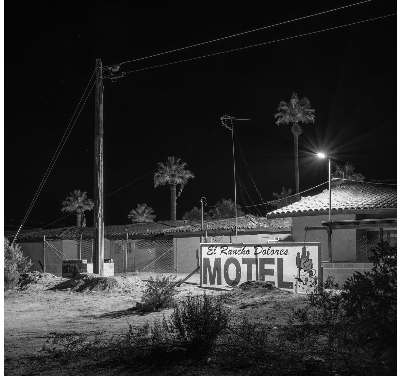 Black & white landscape photography by Bill Holderfield. Motel and palm trees at night