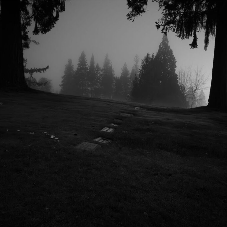 Black & white landscape photography by Bill Holderfield. Trees and road