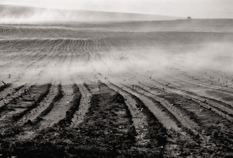 Black & white photography by Ian Berry. Farms suffering from drought in South Africa