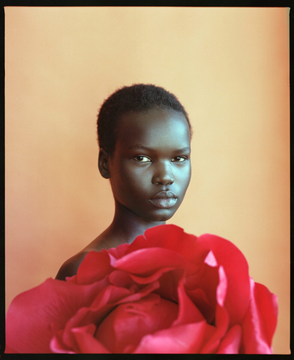 color fashion portrait of woman and flower by Christine Turek