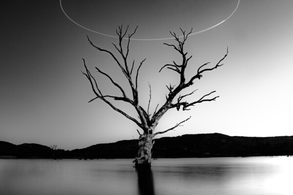 Black and white award fine art long exposure photo of tree and lake in Lake Eildon, Australia by Adam mulholland