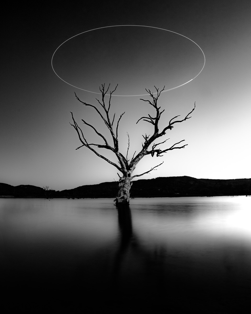 Black and white award fine art long exposure photo of tree and lake in Lake Eildon, Australia by Adam mulholland