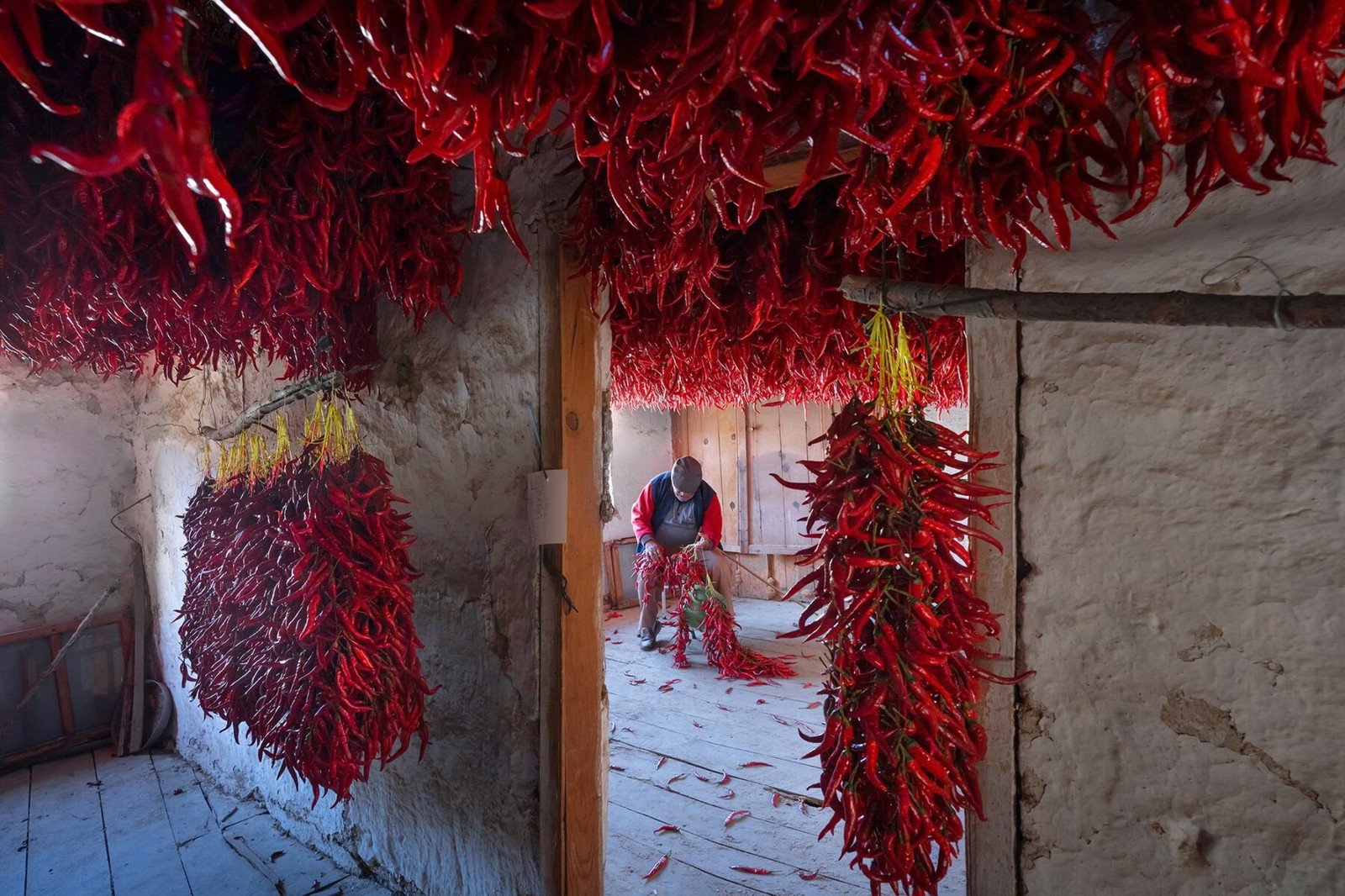 A man preparing red chillies in Turkey by F. Dilek Yurdakul