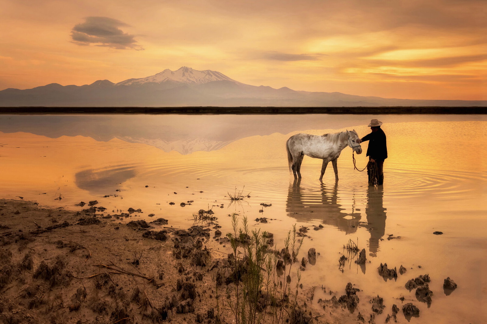 Color photography. Man with a horse in the shallows of a lake at sunrise by F. Dilek Yurdakul